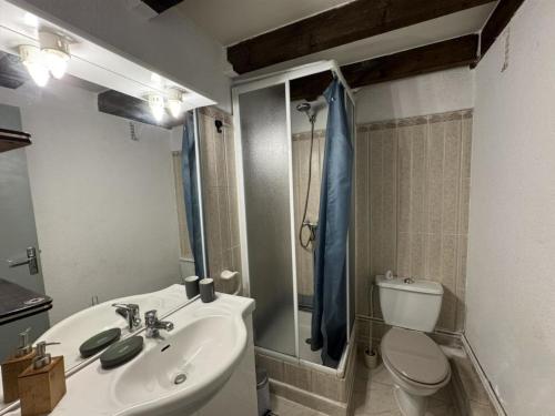une salle de bains avec lavabo et toilettes dans l'établissement Gîte Méditérranée, à Argelès-sur-Mer