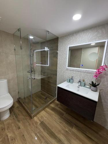 a bathroom with a shower and a sink and a toilet at San Alfonso del Mar 7P in Algarrobo