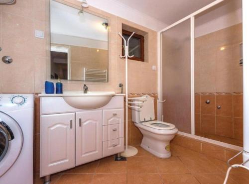 Un baño con lavabo, inodoro y ducha. en Holiday Home Marin AS, en Trbounje