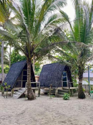 una casa con il tetto di paglia sulla spiaggia con due palme di Balituk a Baler