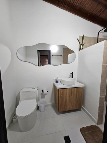 a bathroom with a toilet and a sink and a mirror at Casa luz in Medellín