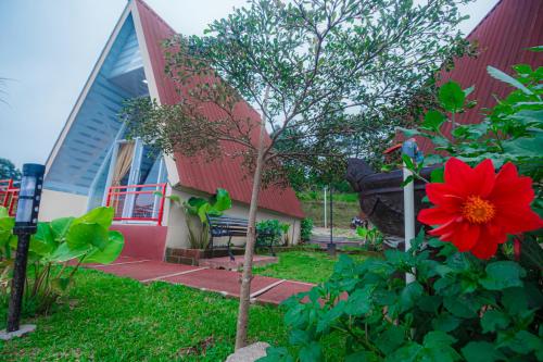 En have udenfor Khanzana Cabin and Camp Telaga Menjer