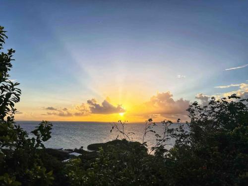 Φυσικό τοπίο κοντά σε αυτό το διαμέρισμα