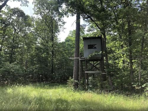 Kép Cozy Cabin Rental near Ozark National Forest for a Relaxing Weekend Getaway in Arkansas szállásáról Marble Fallsban a galériában