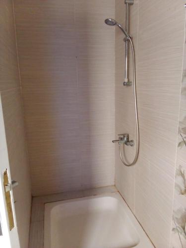 a bathroom with a shower and a toilet at The Horizon House in Luxor