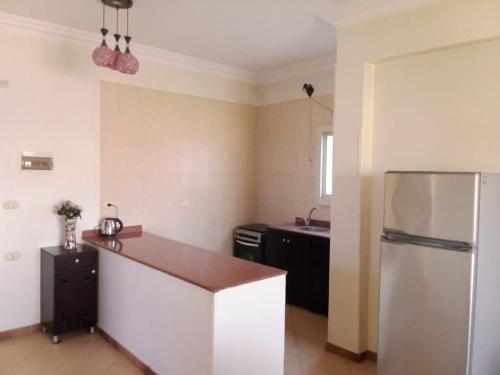 La cuisine est équipée d'un réfrigérateur et d'un évier. dans l'établissement The Horizon House, à Louxor