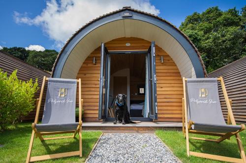 a dog is standing in the doorway of a house at Polgooth Inn in St Austell