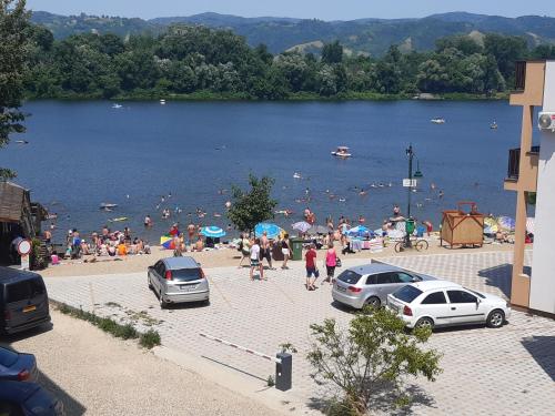 大格拉迪什泰Dunavski kutak的一群人在靠近水域的海滩上