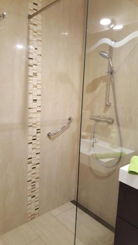 a shower with a glass door in a bathroom at Tündérlak Vendégház in Balatonfüred
