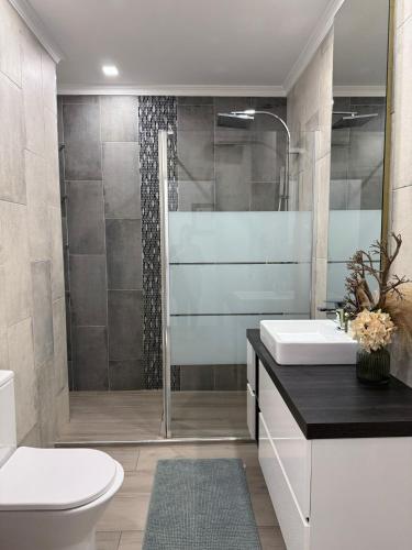 een badkamer met een douche, een toilet en een wastafel bij Apartamento Machadinho in Vale de Pedras