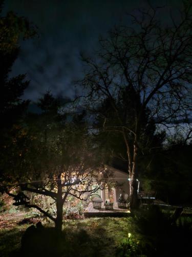 Fotografie z fotogalerie ubytování Gomba Kert v destinaci Nagymaros