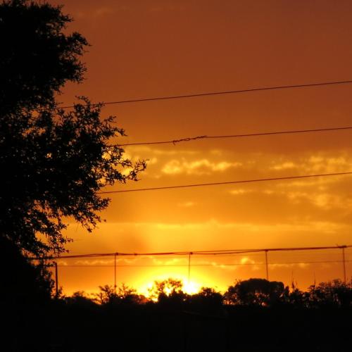 an orange sunset with power lines in the foreground at A Cherry Lane Self Catering and B&B in Bloemfontein