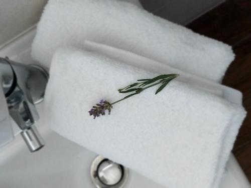 Fotografie z fotogalerie ubytování Leukos Home Relais Ecoretreat b&b v destinaci Diamante