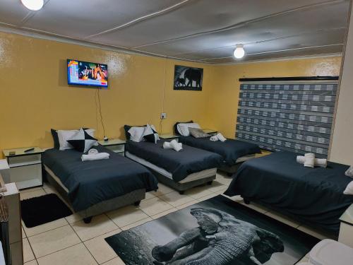 a room with four beds and a tv at Acama Guest House in Welkom