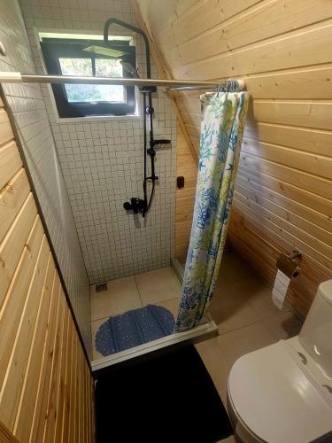 a small bathroom with a shower and a toilet at Nino's cottage in Sighnaghi