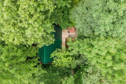 een uitzicht op een gebouw midden in een bos bij Hot Tub - Haven at the Red - Red River Gorge KY in Slade