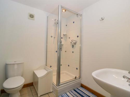 a bathroom with a shower and a toilet and a sink at Dovecote Cottage in Gloucester