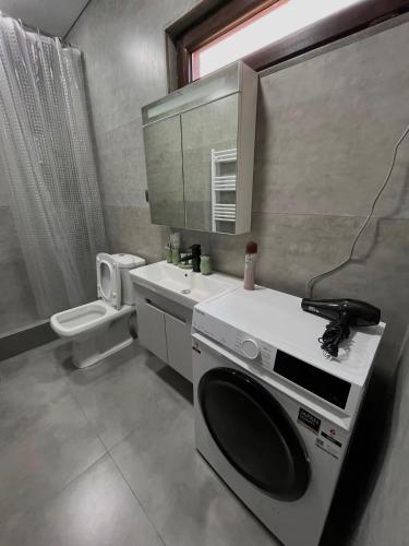 a bathroom with a washing machine and a sink at Lucky House in Grigoleti