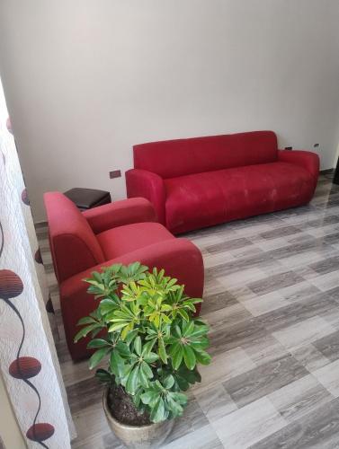 Khu vực ghế ngồi tại I rent a house in Mollendo