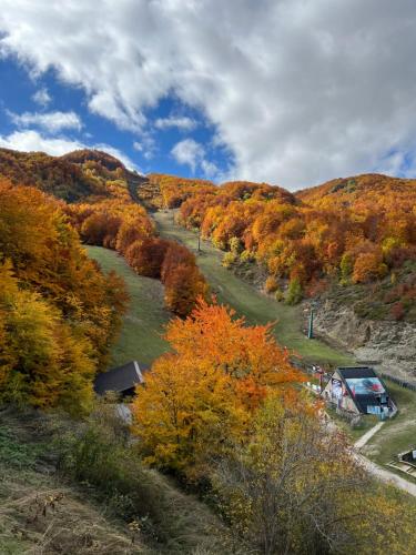 Příroda nedaleko apartmánu