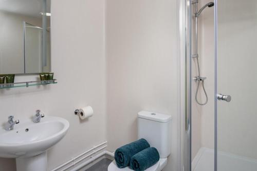 a bathroom with a sink and a toilet and a shower at Hebog Glamping Lodge in Talybont