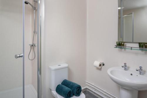 TalybontにあるColomen Glamping Lodgeのトイレ、洗面台、シャワー付きのバスルーム