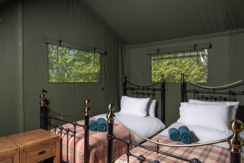 TalybontにあるColomen Glamping Lodgeのベッドが2つと窓が2つある寝室