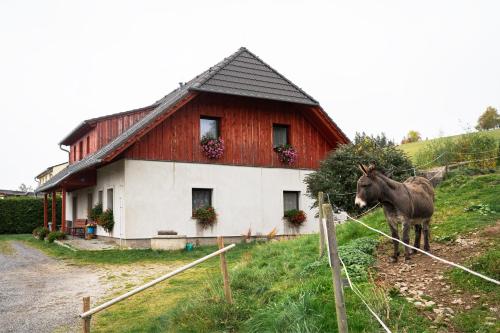 Fotografie z fotogalerie ubytování U Oslíka ve Zdíkově