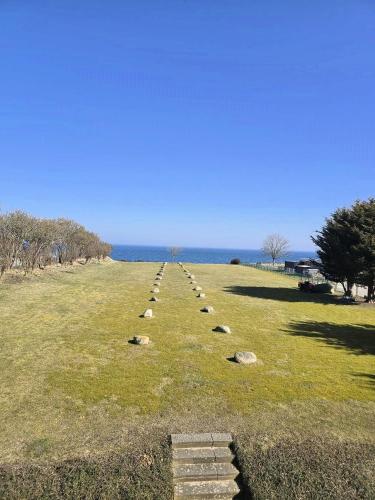 a field with a line of rocks in the grass at Fiete in Marienleuchte