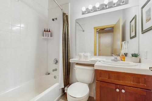 een badkamer met toilet, wastafel en douche bij Alpine Retreat in Truckee