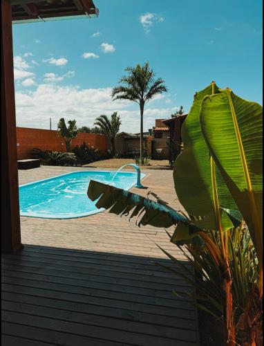 a swimming pool with a palm tree and a plant at Pousada Toca da Coruja Chales pequeno in Balneário Gaivotas