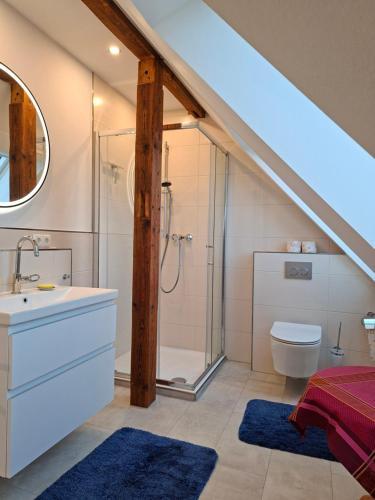 a bathroom with a shower and a sink and a toilet at Hof Nordholz in Großenkneten