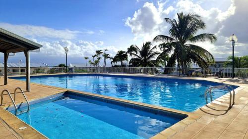 a large blue swimming pool with palm trees in the background at Mare Gaillard in Mare Gaillard