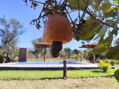 Barra do BugresRancho do tucano的相册照片