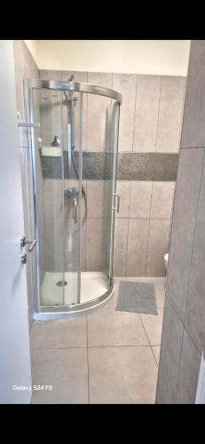 a shower with a glass door in a bathroom at Tom House in Otopenii de Jos