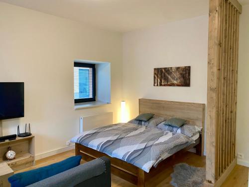 a bedroom with a bed and a tv at Apartmány v Javorné na Šumavě in Čachrov