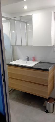 un baño con lavabo y espejo en Charmante maisonnette 1 chambre proche de Nîmes, en Caveirac