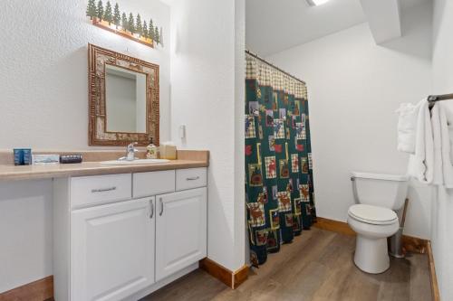 a bathroom with a toilet and a shower curtain at The Loose Moose Lodge #4 At Downtown Grand Lake in Grand Lake