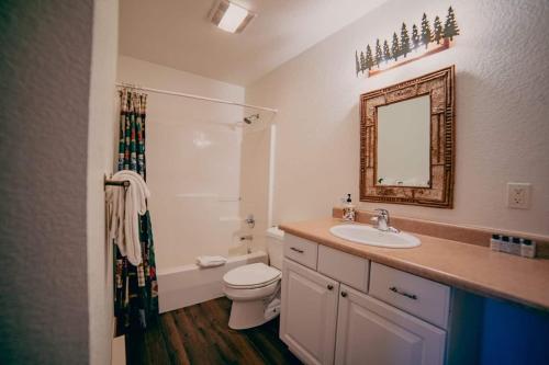 グランドレイクにあるThe Loose Moose Lodge #5 At Downtown Grand Lakeの洗面台、トイレ、鏡のあるバスルーム