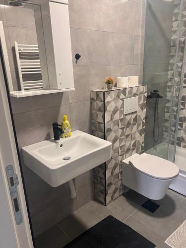 诺维萨德Apartman Sunce Novi Sad的带水槽和马桶的浴室