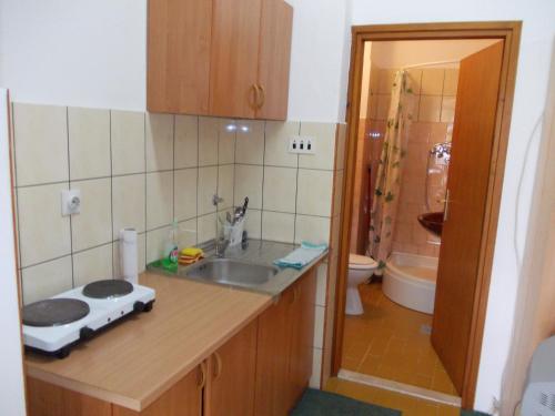 uma pequena cozinha com um lavatório e um WC em Apartments Bozic em Trebinje