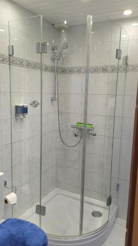a shower with a glass door in a bathroom at Studio in Domat Ems in Ems