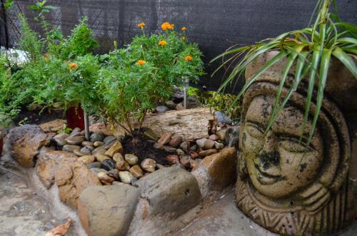 a garden with a statue of a head and plants at Nuestra Casa in San Juan del Sur