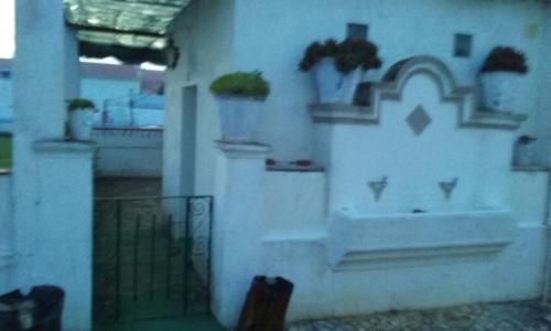 a room with two potted plants on a wall at Casa do Pateo in Casa Branca
