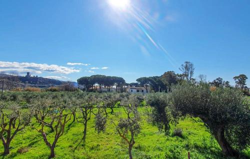 a field of trees with the sun in the sky at 2 Bedroom Amazing Apartment In Casal Velino in Castellammare di Velia