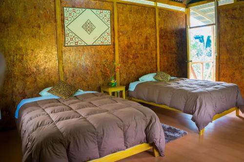 a bedroom with two beds and a window at Amazon Planet in Tambopata