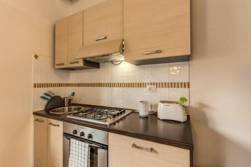 Кухня или мини-кухня в Aurelia Vatican Apartments
