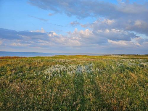 a field of grass with the ocean in the background at 8 person holiday home in Ørsted-By Traum in Kare