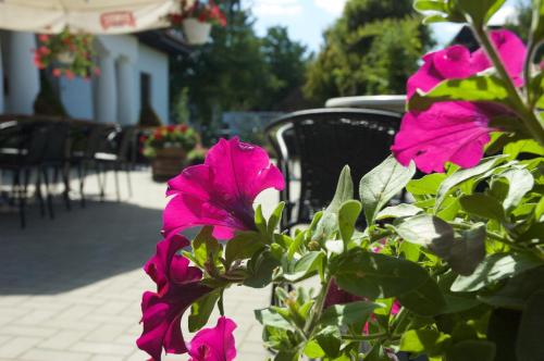 a group of pink flowers on a patio at Hotel Wenus in Kazimierz Dolny