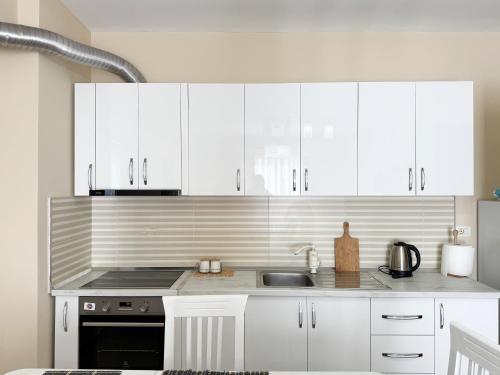 Kuchyň nebo kuchyňský kout v ubytování Shkodra Apartment